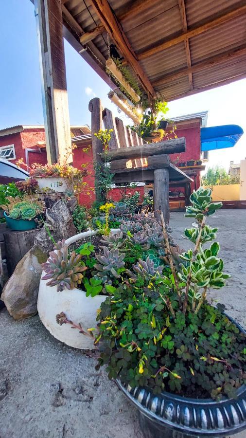 Hostel Cape Town - Cambara Do Sul Exterior photo